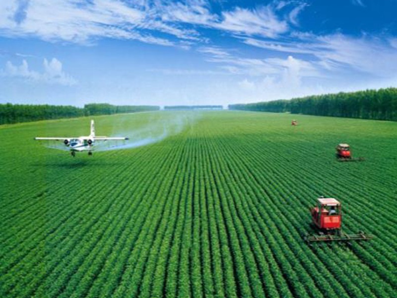 綠色農業讓農業變革鋪路