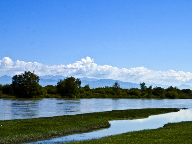 山東省總投資三十七億來有效的保護濕地