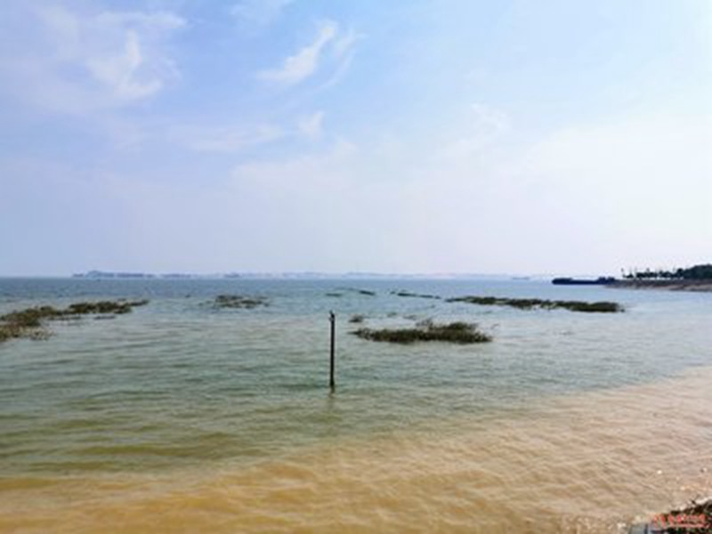 海洋局稱在我國臨海河域的生態環境污染問題比較嚴重