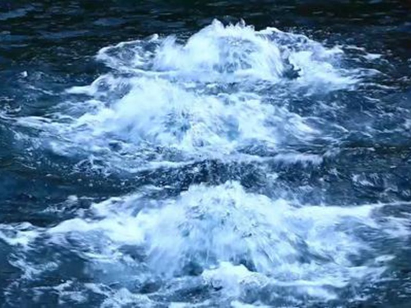 濟南為保護趵突泉，1天多的時間內引來了五萬立方的黃河水