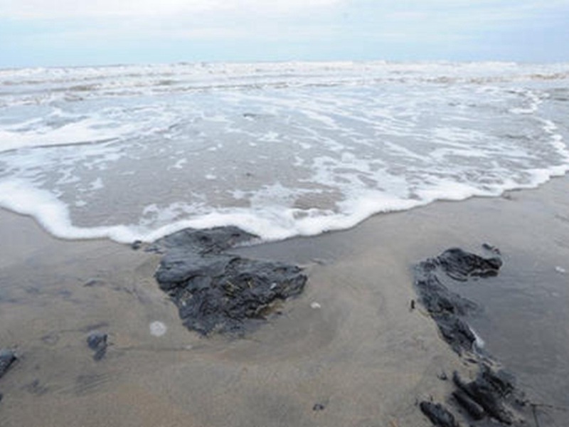 三友化工污染鑄就“死海”，嚴重危害著渤海生態環境
