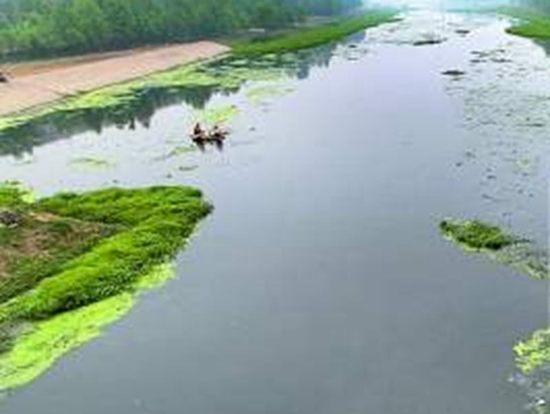 鄭州市賈魯河水遭受比較嚴重環境污染，每天近二十噸污水排進