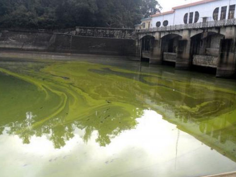 鶴地水庫遭受比較嚴重的污染