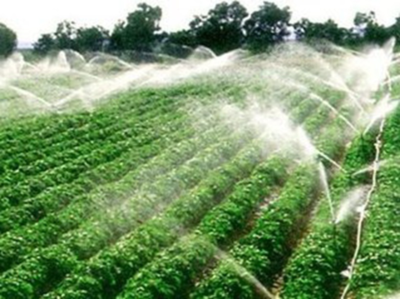 河北農田灌溉水系數達到0.65
