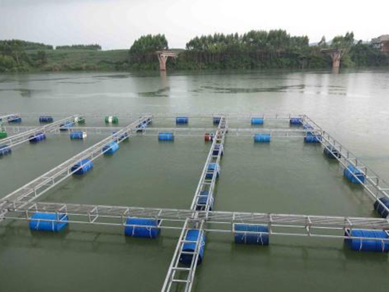 中國中部水產養殖業遭遇著殘酷的現實