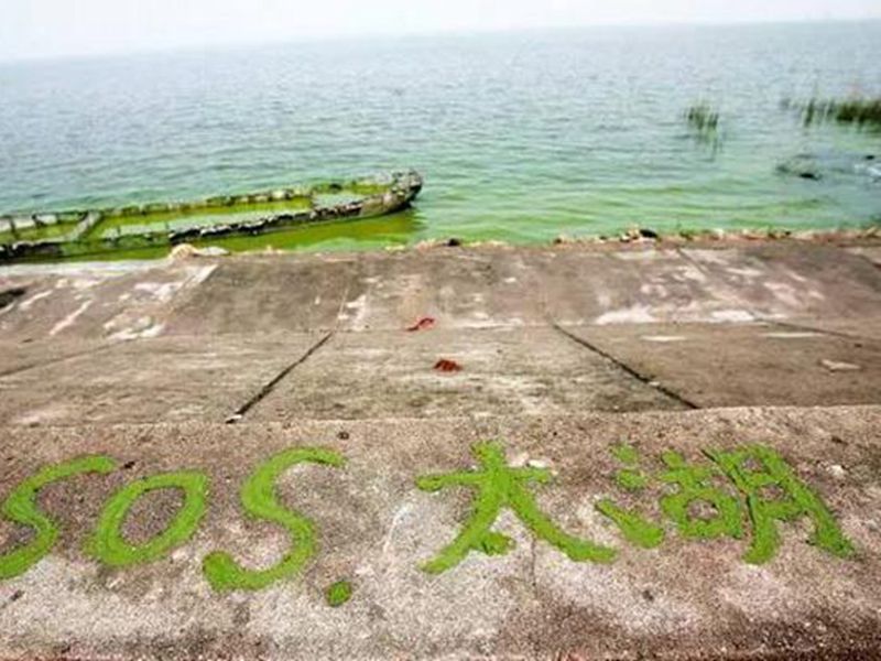 太湖變成為百億治污的中國式治污標本